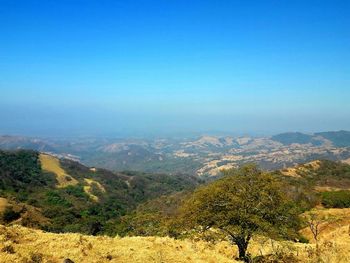 Scenic view of landscape against clear blue sky