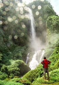 Rear view of man standing by waterfall in forest