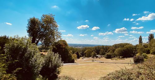 Trees on landscape against sky