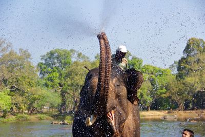 Elephant splashing water on tourist