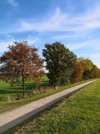 Trees growing on field against sky