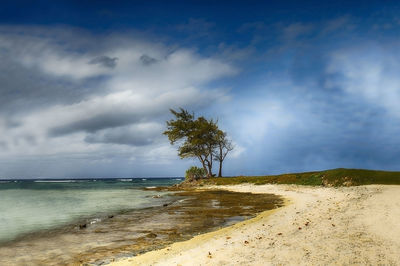 Scenic view of beach against sky