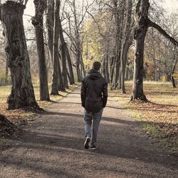 Rear view of man walking on road amidst trees