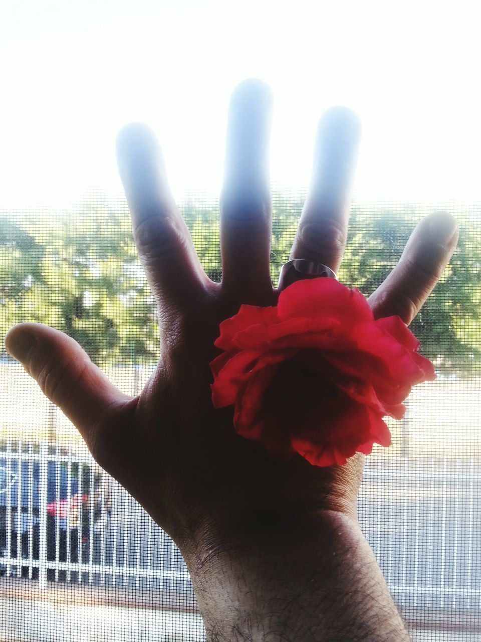 CLOSE-UP OF HANDS AGAINST THE SKY