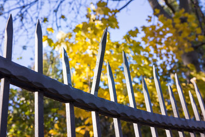 Low angle view of yellow metal fence against sky