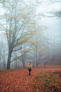 autumn