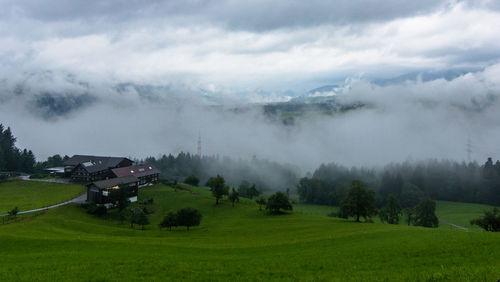 Scenic view of agricultural field against sky