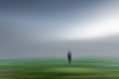 Rear view of man on grassy field against sky