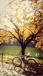 Bicycle parked by lake