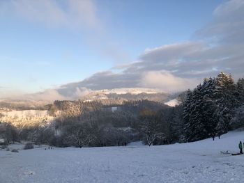 Snow covered land and trees against sky