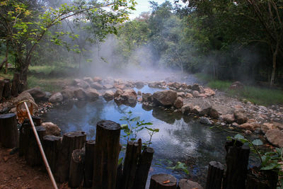 Scenic view of waterfall in forest