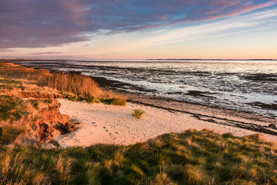 Scenic view of beach against sky during sunset