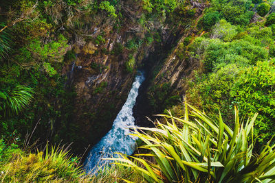 Scenic view of waterfall in forest