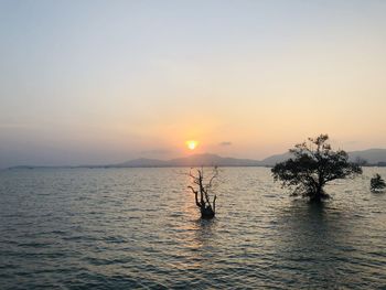 Scenic view of sea against sky during sunset