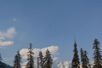 Low angle view of trees and snowcapped mountains against sky