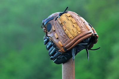 Close-up of baseball glove