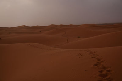 Scenic view of desert