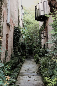 Narrow alley amidst buildings