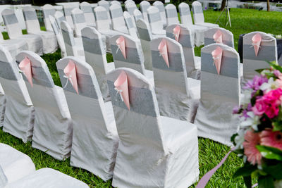 White flowering plants in cemetery