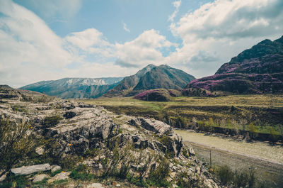 Mountain landscapes of the chui tract, altai. valley chuya. spring bloom in the mountains