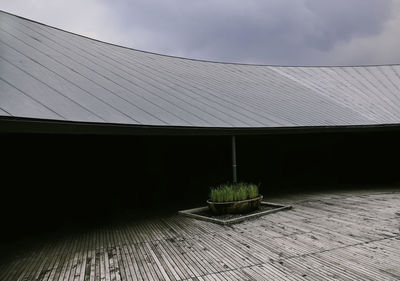 Surface level of cobblestone street