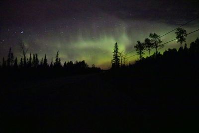 Low angle view of silhouette trees against sky at night