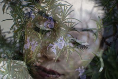 Double exposure of woman and plants