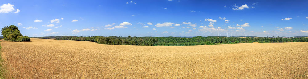 Panoramic view of field against sky