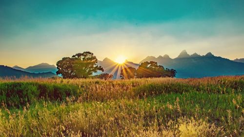 Scenic view of field against sky during sunset