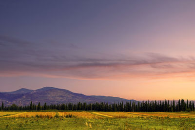 Scenic view of field against sky during sunset