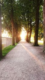 Empty road along trees