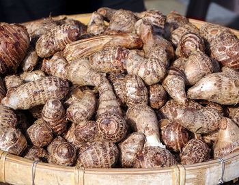 High angle view of taro roots for sale in market