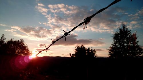 Silhouette trees against sky during sunset