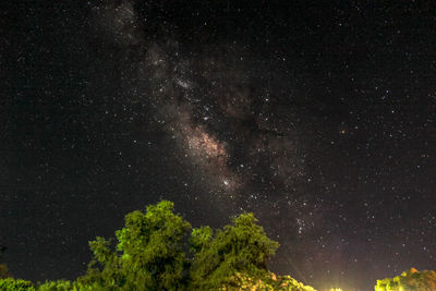 Low angle view of trees against star field at night