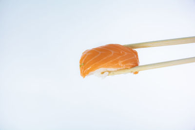 Close-up of orange leaf against white background