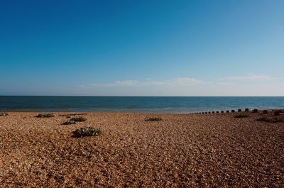 Scenic view of sea against clear blue sky