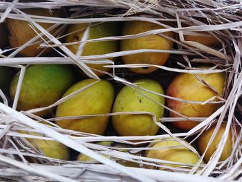 High angle view of fruits in basket