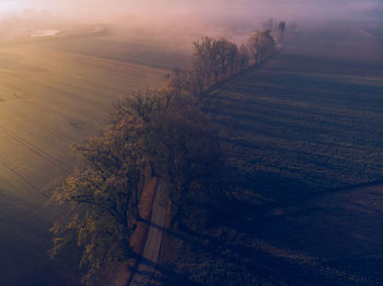 Aerial view of trees on land during sunset