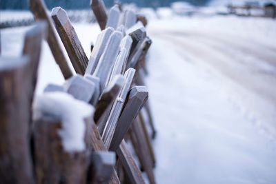 Close-up of frozen wood on field