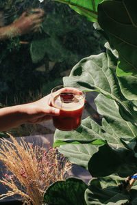 Cropped hand of woman holding drink