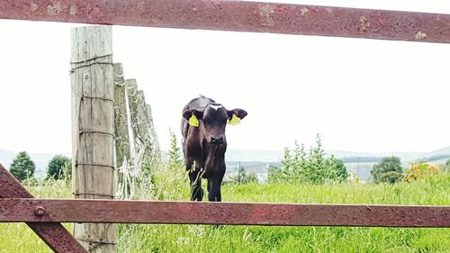 View of built structure against sky