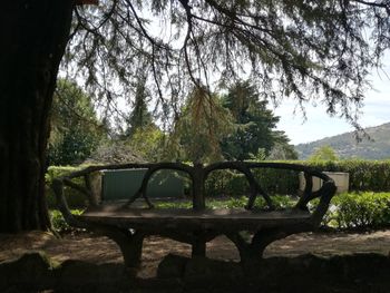 Empty bench by trees in forest