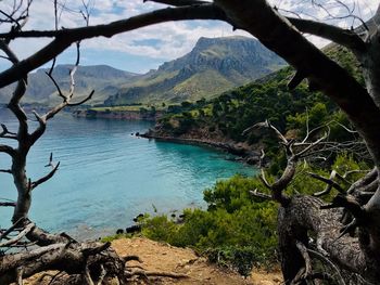 Scenic view of lake and trees against sky