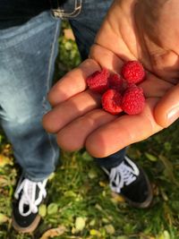 Low section of person holding strawberries