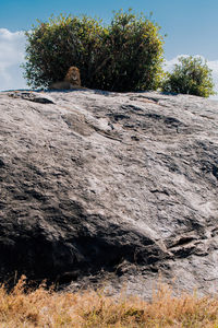 Close-up of rocks on grass against sky