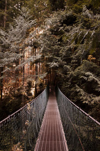 Bridge amidst trees