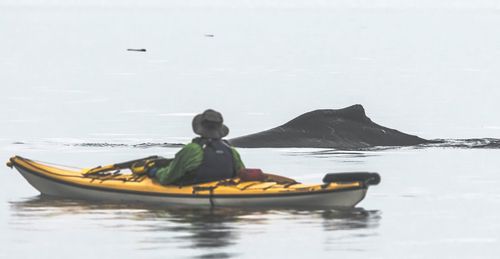 Rear view of person kayaking in sea against sky