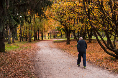 Rear view of man walking in park during autumn