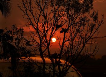 Silhouette bare tree against orange sky