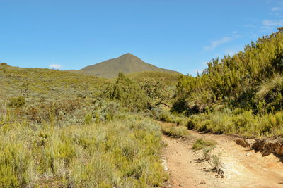 A dirt road against a mountain background, chogoria route, mount kenya national park